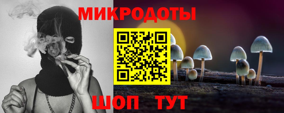 Гай  Галлюциногенные грибы Cubensis  Вход с VPN  Галлюциногенные грибы Cubensis 